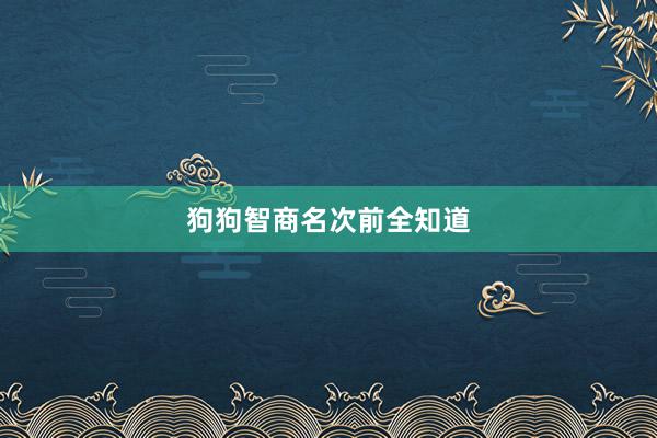 狗狗智商名次前全知道
